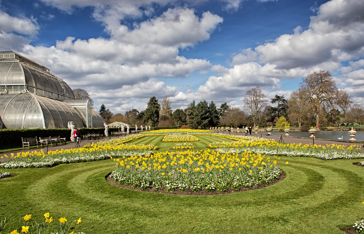 A new installation from Kew Gardens